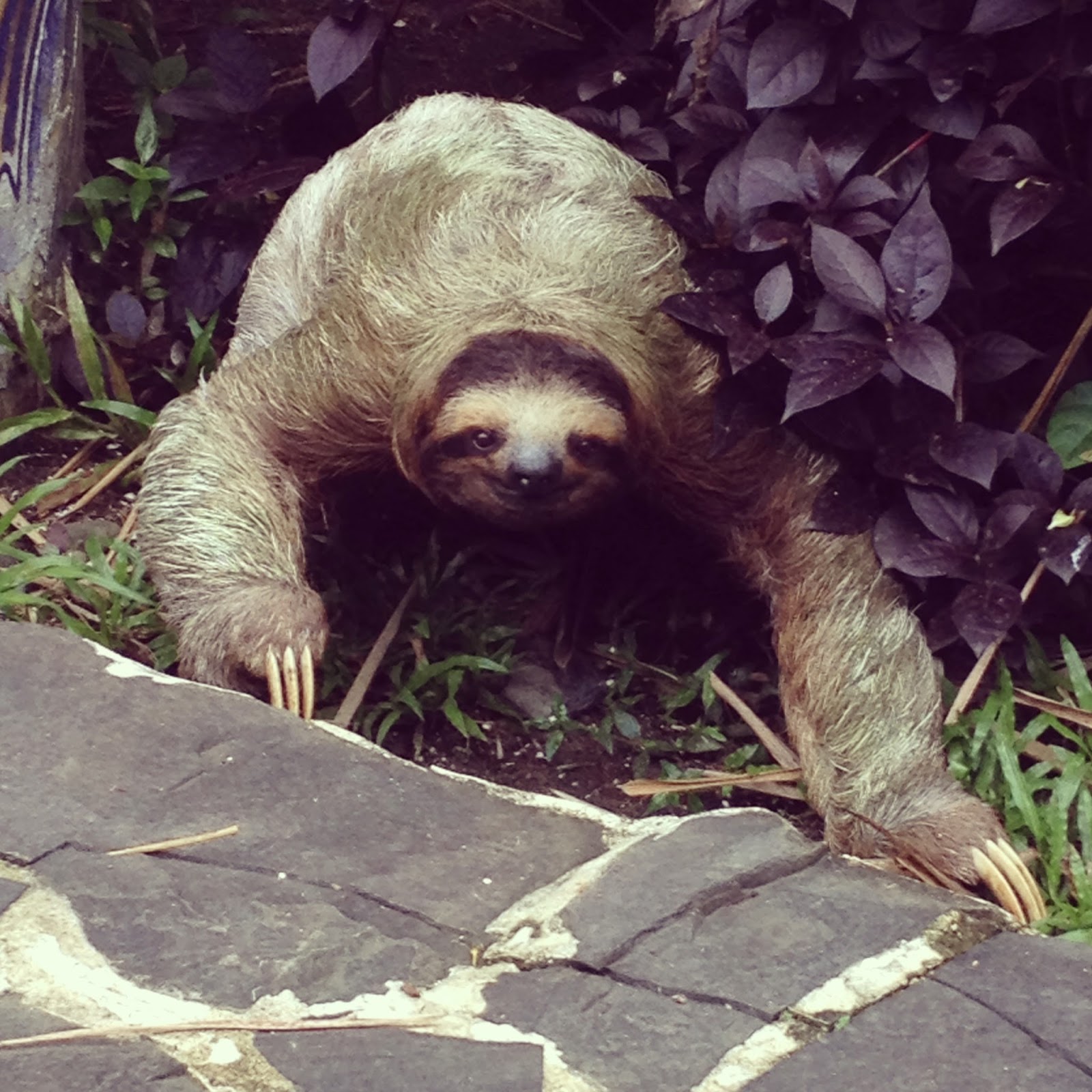 My Costa Rican Viaje: A Roller Coaster Week