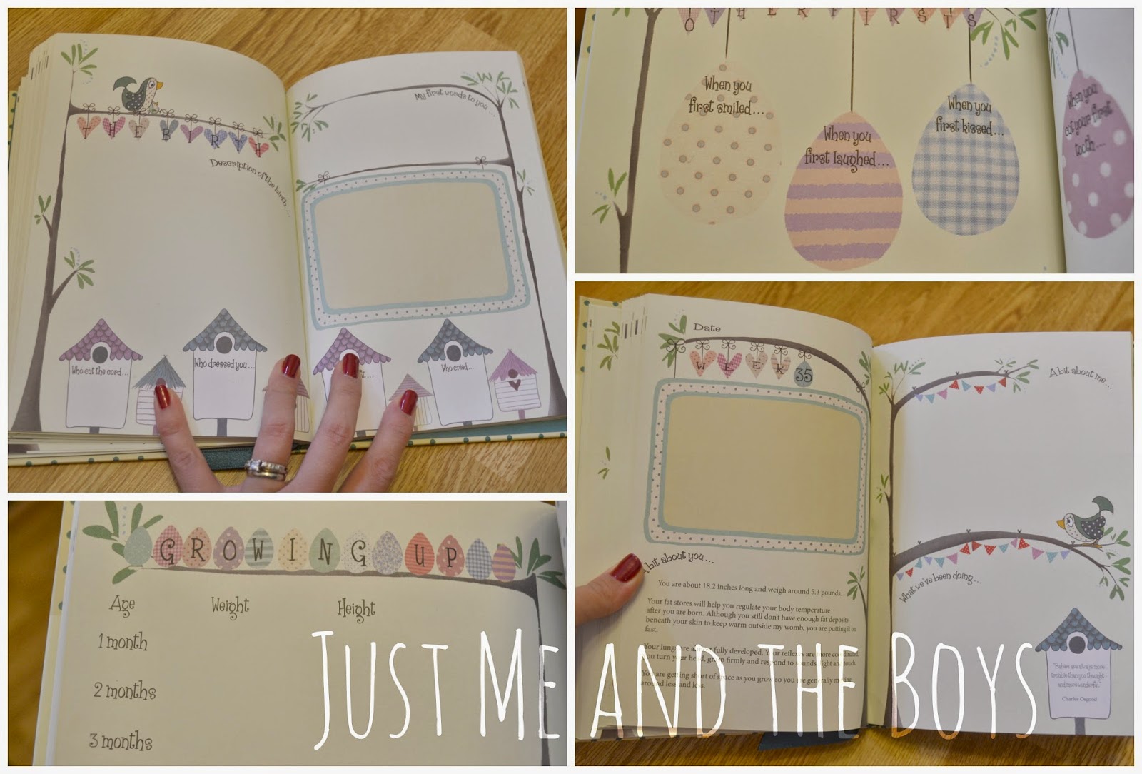 Just Me and the Boys Bump to Birthday Journal Your Pregnancy and