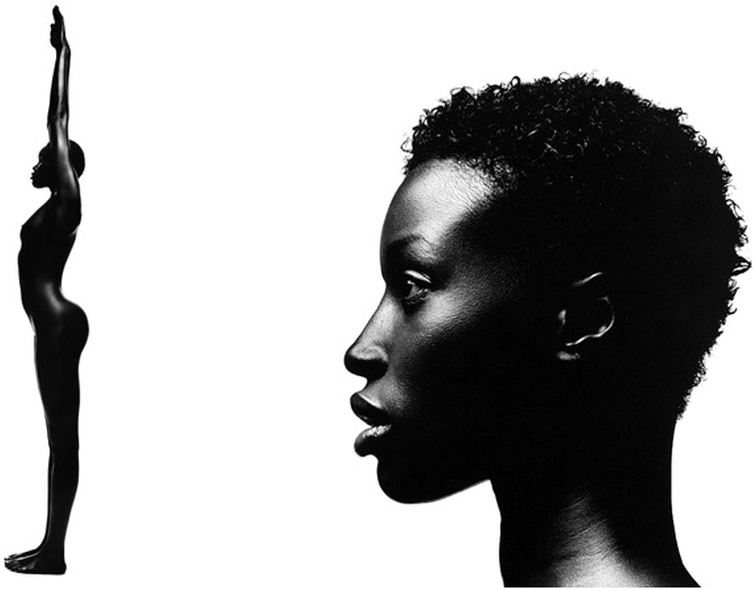 Кастинг чернокожей. Thierry le Goues. Темнокожая женщина профиль. Чернокожая девушка в профиль. Силуэт африканки.