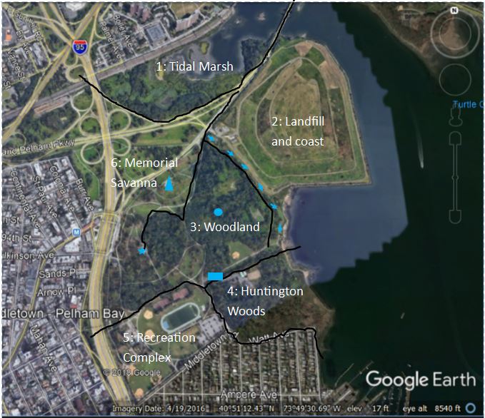 Pelham Bay Park Map Earth On The Wing: Birding The Southern Zone Of Pelham Bay Park