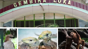 Enjoy a holiday in Gembira Loka Zoo