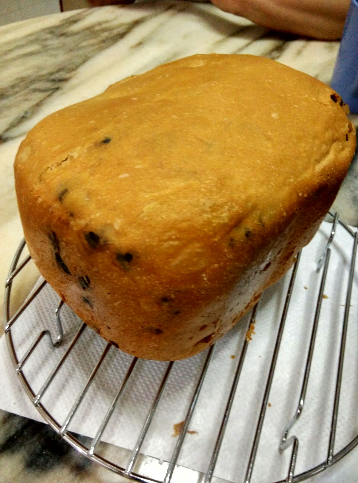 My Cooking Recipe 巧克力面包Chocolate Bread (Bread Machine Leaven Dough