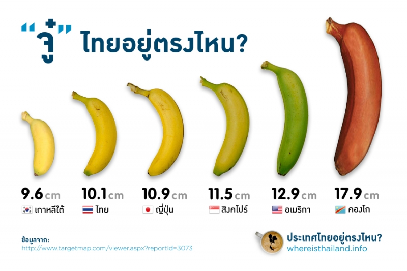 ขนาดมาตรฐาน ของอวัยวะเพศชายไทย ต้องยาวกี่นิ้ว