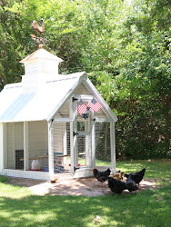 coop chicken walk instagram styled entertaining summer garden flags coup purchased smaller
