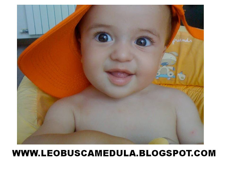 MI BLOG, NUESTRO BLOG