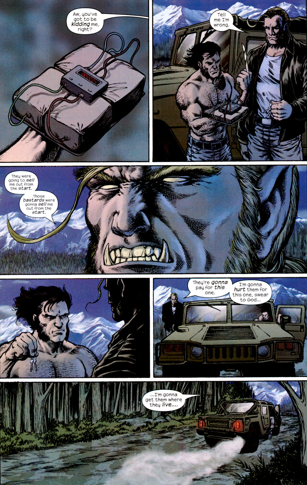 Wolverine (2003) Issue #17 #19 - English 9
