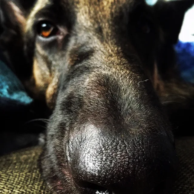 Finn's cute sweet face close up