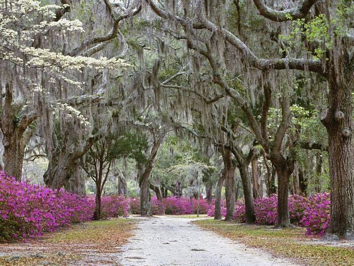 صور ساحرة مأخوذه من أجمل أماكن الطبيعة,,