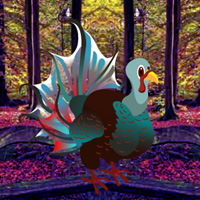 Games2Rule Fantasy Turkey Forest Escape