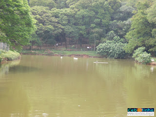 O lago dos patos 