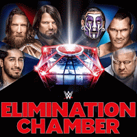 Big Changes Expected For Sunday's WWE Elimination Chamber PPV