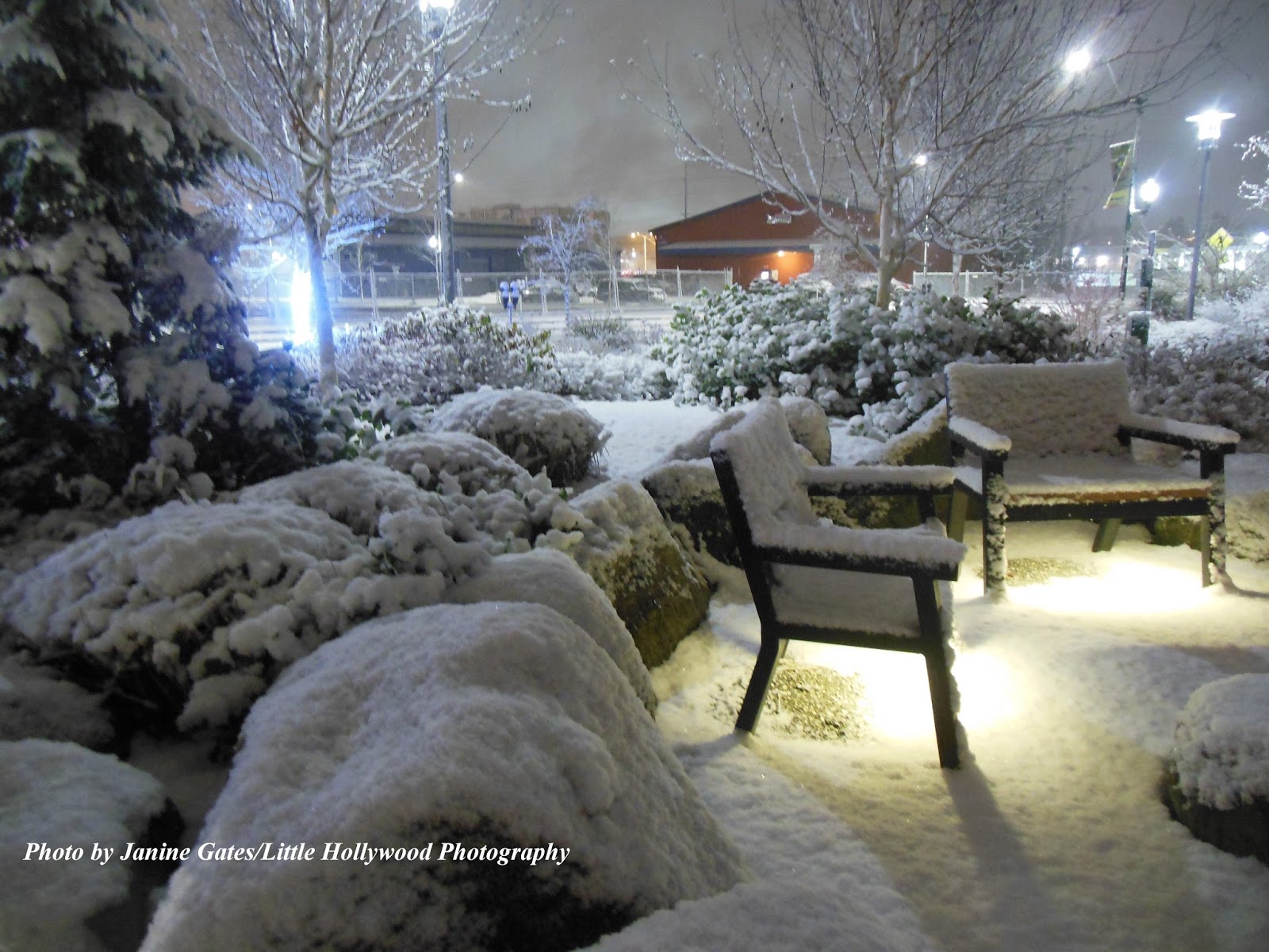 little hollywood downtown olympia winter warming center permit sought