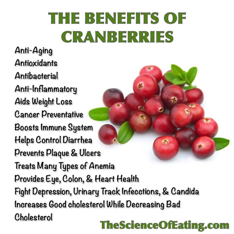 TELUGU WEB WORLD BENEFITS OF CRANBERRIES
