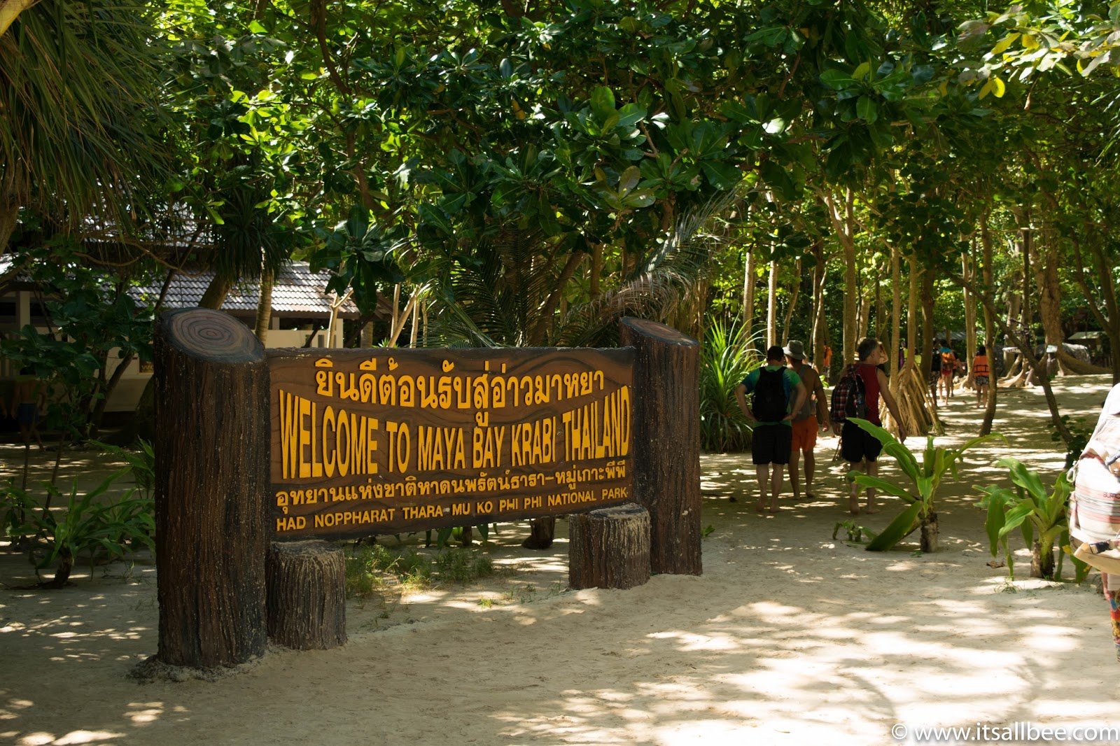 Ko Phi Phi Island - Thailand - Maya Bay Tour - maya bay the beach