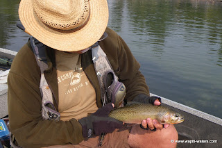 4 x4, pike and trout, Jeff and Jack on the Bitterroot in Sept.