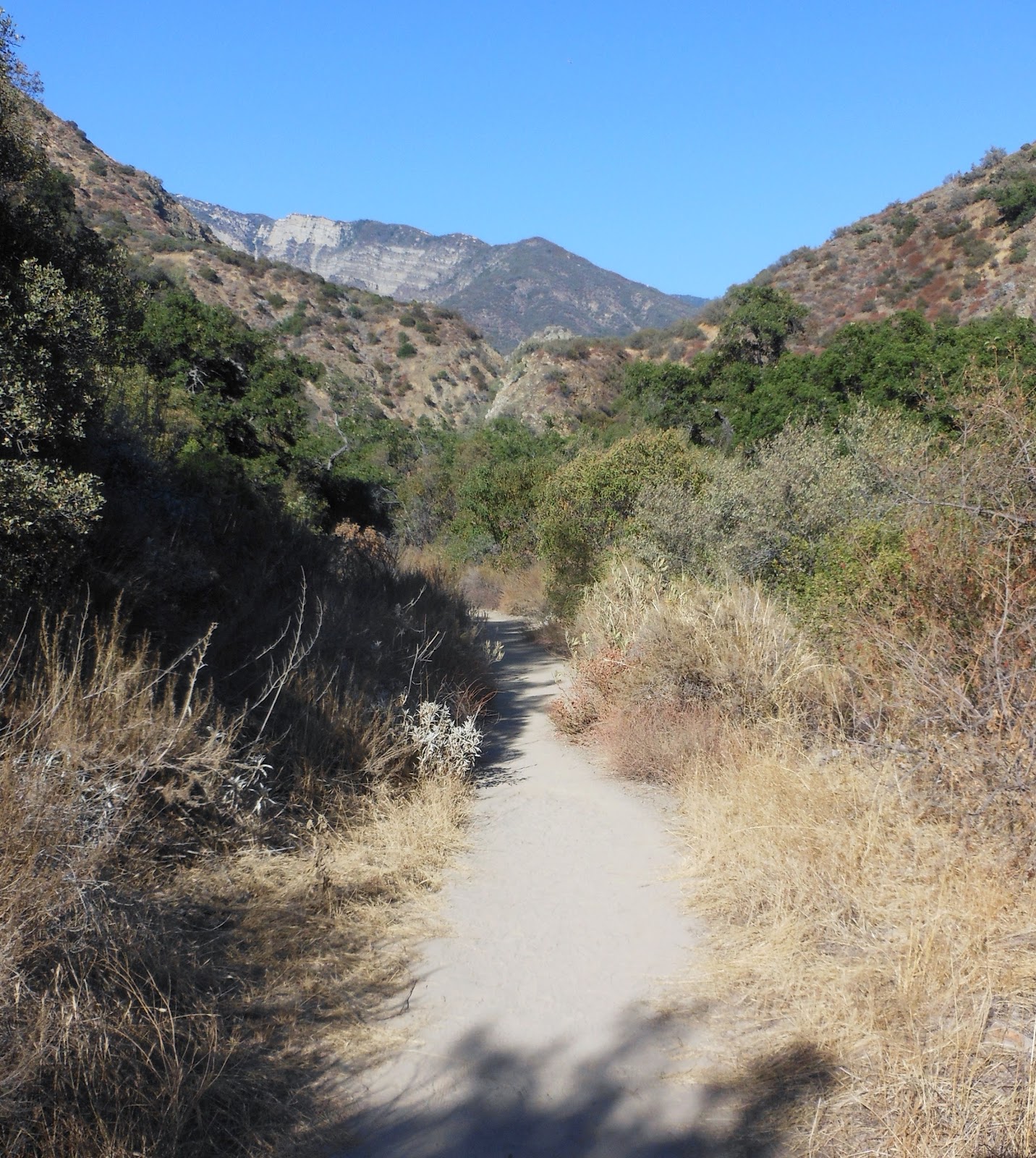 1000 Hikes in 1000 Days Days 648 & 649 Santa Paula Punch Bowls Last