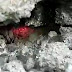 BAHIA / Fogo em buraco na terra intriga moradores de localidade em Piatã na Chapada Diamantina; veja vídeo