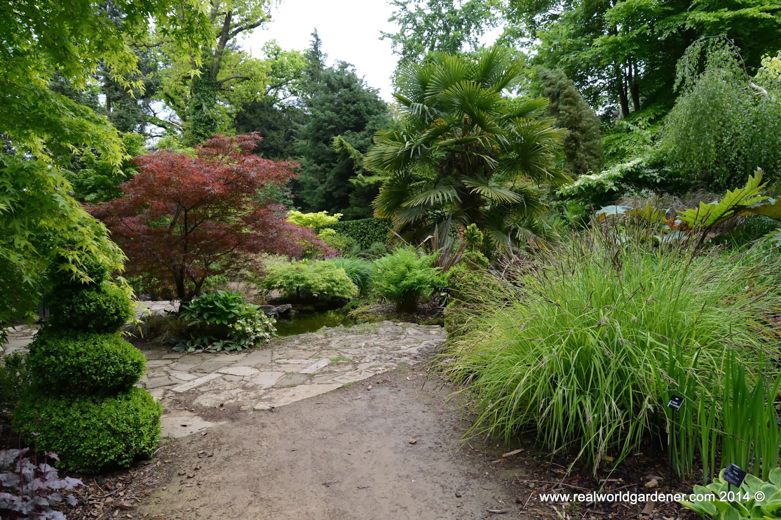 Real World Gardener Texture and Foliage in Green Garden Design