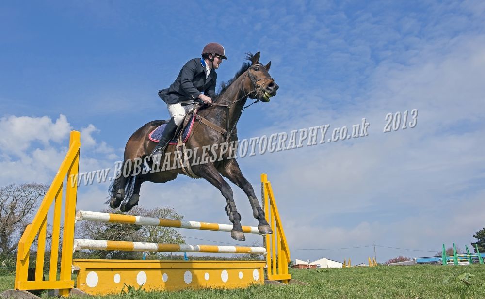 Photography by Bob Sharples Helston Flora Horse Show 2013