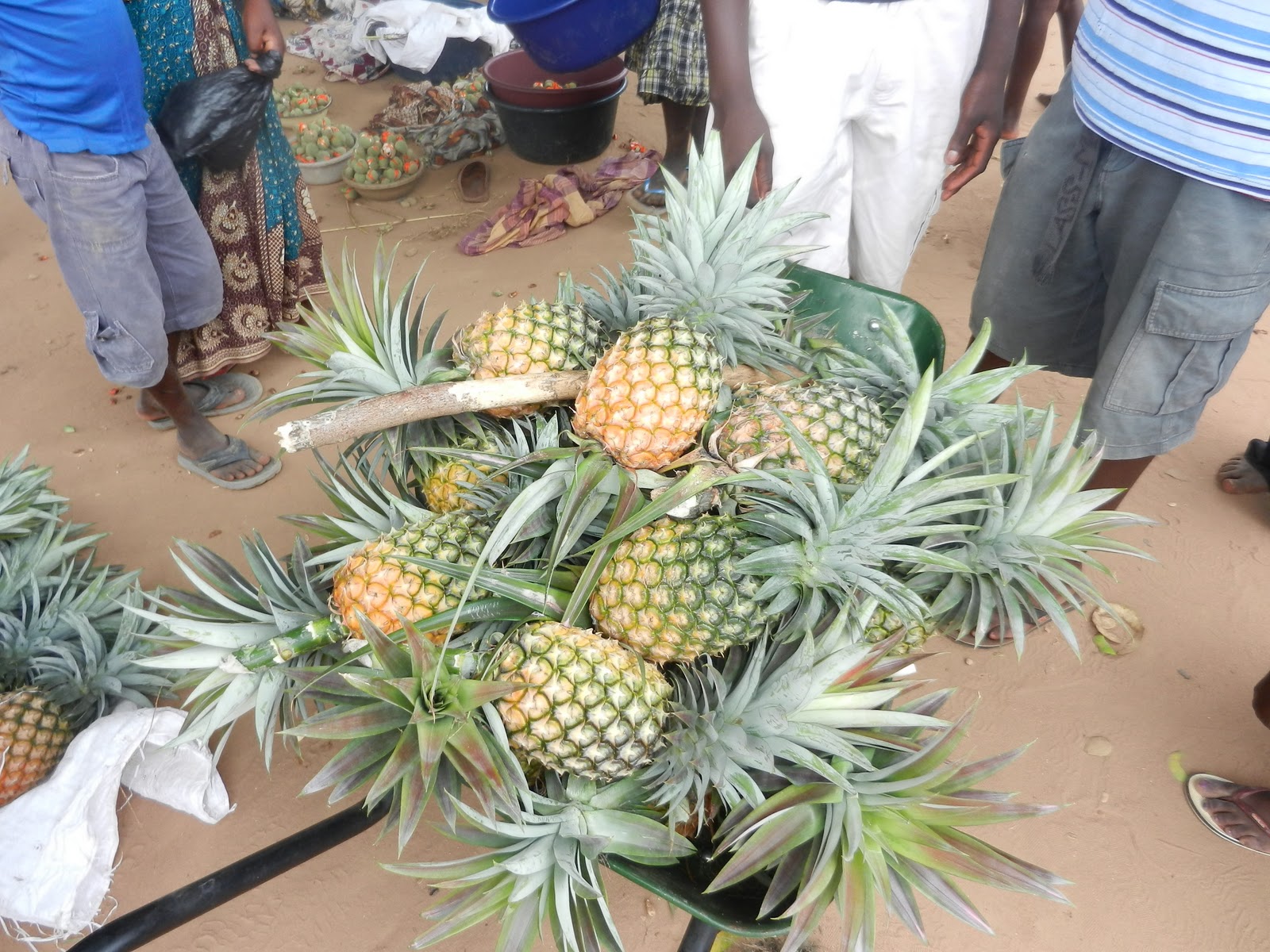 Food Trends: The latest: Mozambique Local Fare