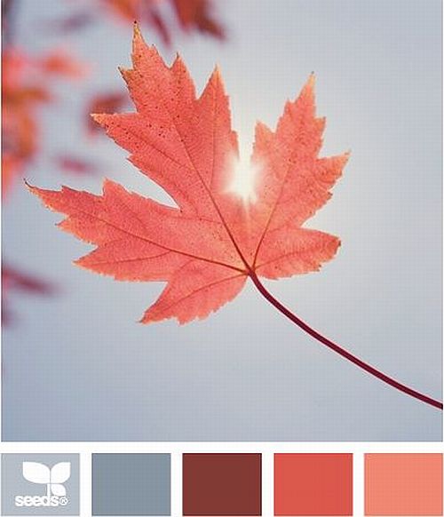 autumn color palette: greyish blue and coral