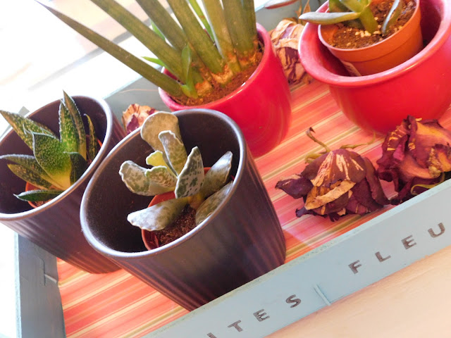 CheRRy's World: Kisten Deko und Dosen Windlicht leicht gemacht