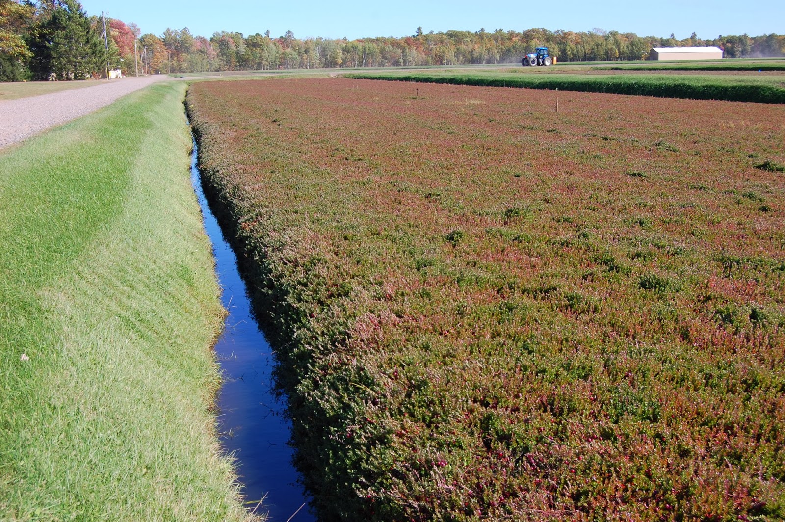 HINTZ'S HAPPENINGS OCEAN SPRAY CRANBERRY BOGS