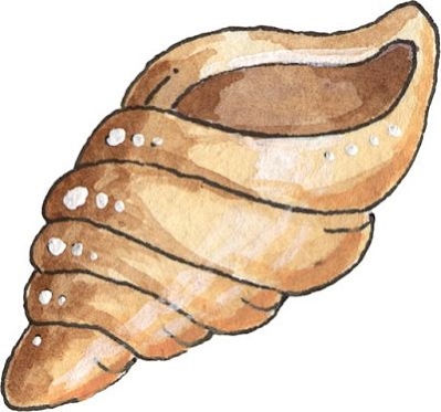 Poemas diminutos Caracola Federico García Lorca