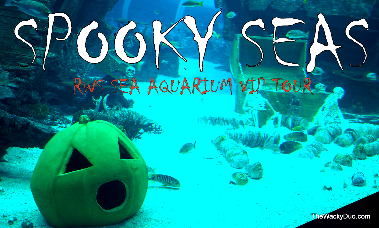 RWS SEA Aquarium VIP Tour :  Spooky Seas Edition