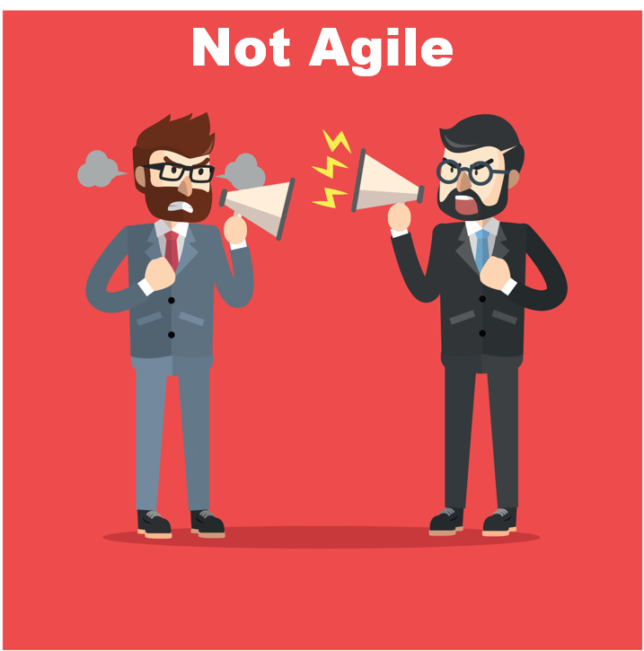 We are doing agile, but are not Agile