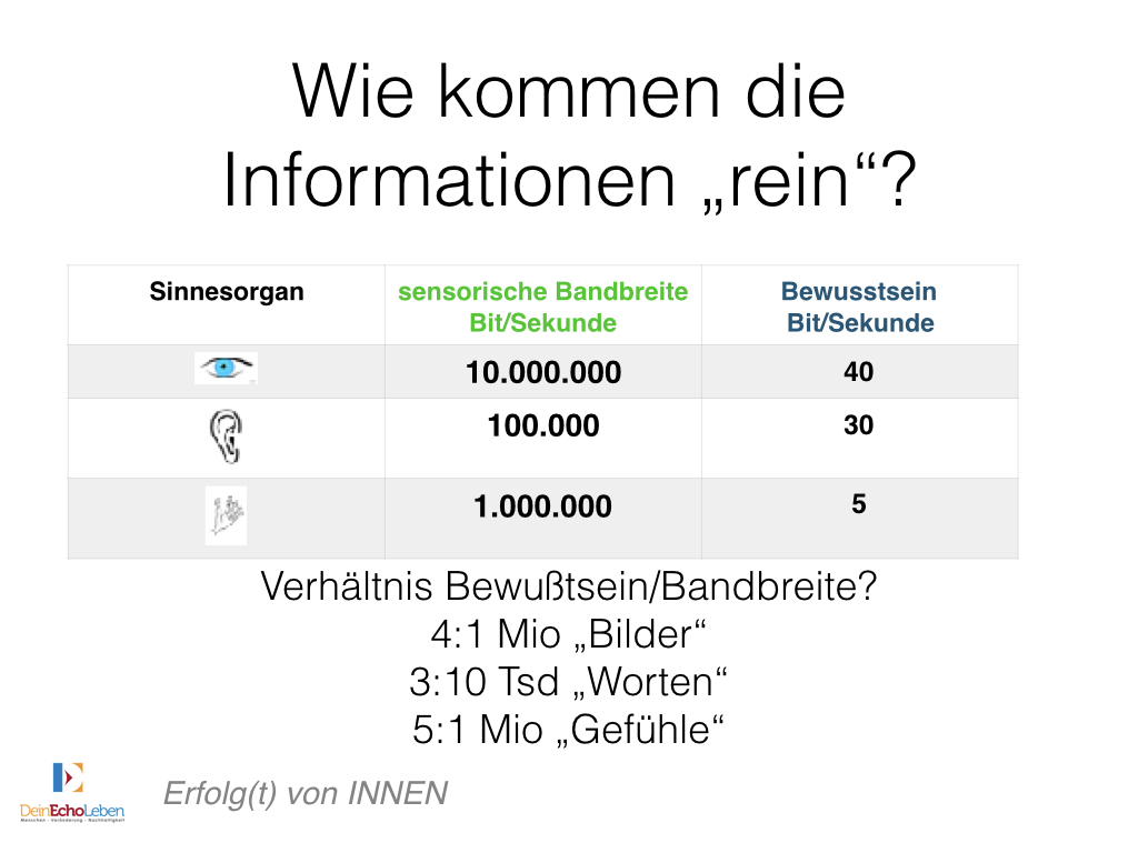 Favolas Lesestoff Oktober 2012
