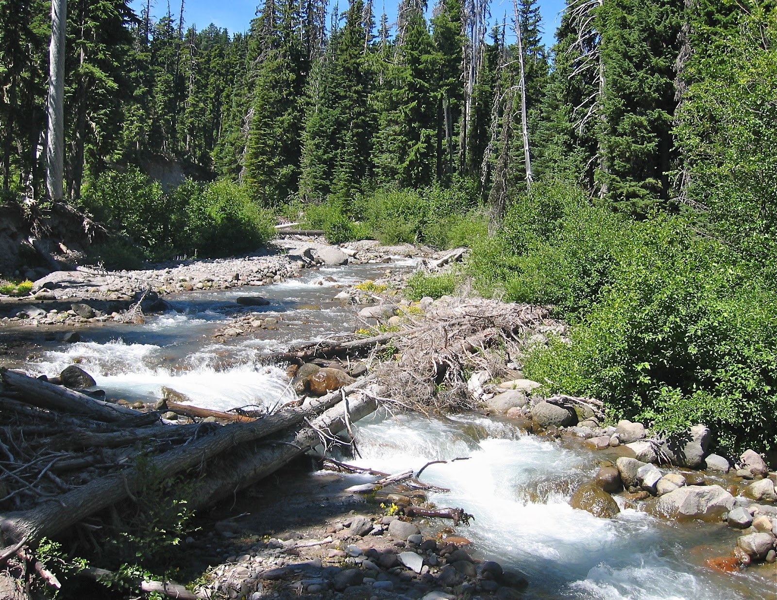 Venture Out A Perfect Hike Elk Meadows, Mt. Hood OR