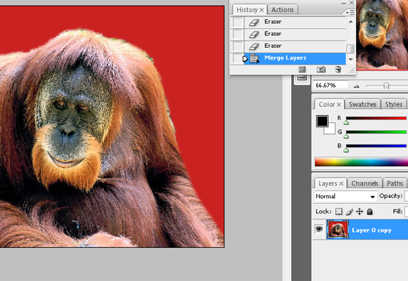 background foto berhasil dirubah background foto berhasil dirubah