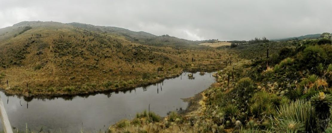 Resultado de imagen para guacheneque
