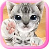 3D Cute Cat Live Wallpaper Apk - Free Download Android App