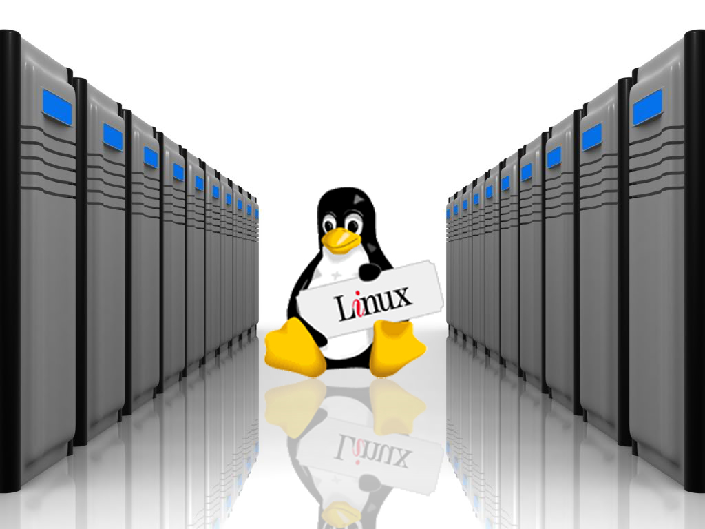 linux netatalk server