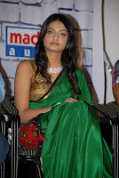 Its My Love Story Movie Audio Launch