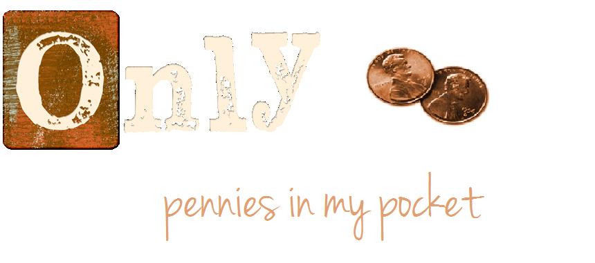 Only Pennies in my Pocket