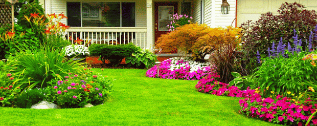 flowers landscaping