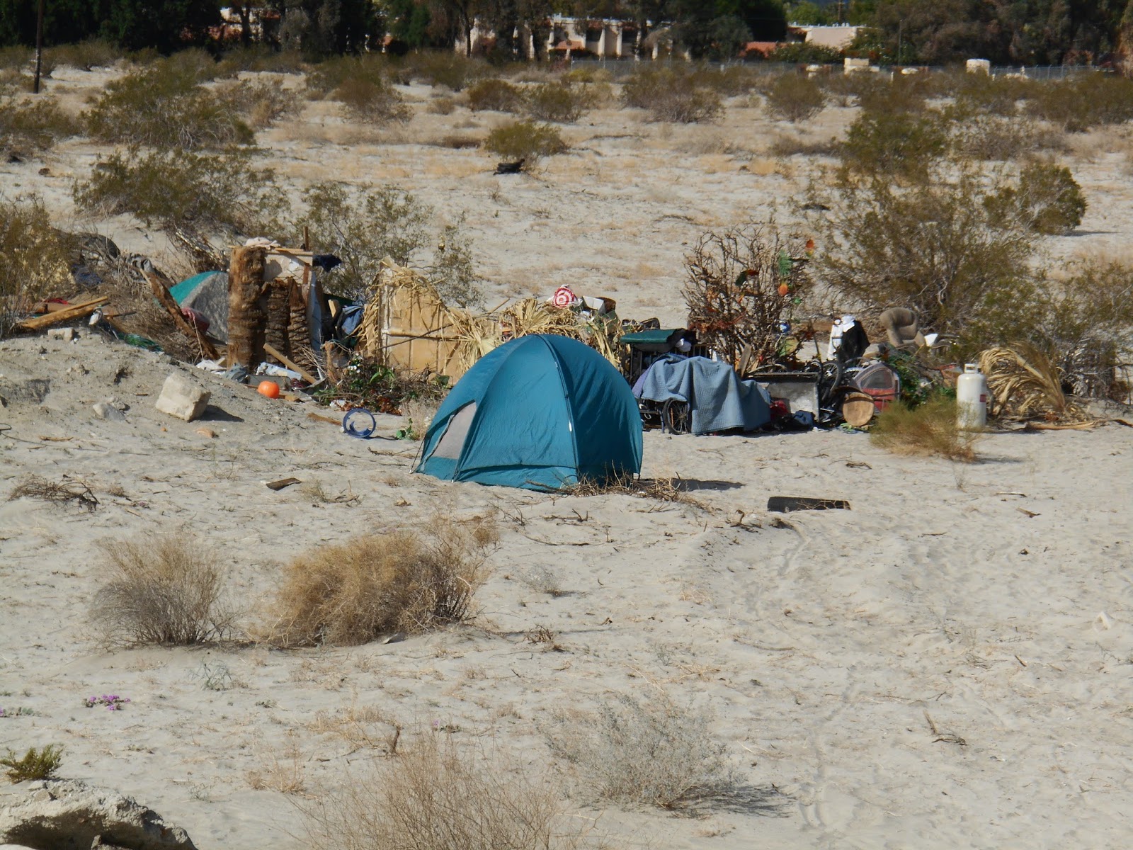 Is td bank open on thanksgiving in america