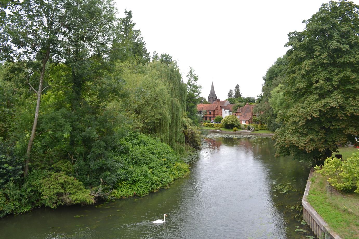 Walks among Flowers Berkshire Goring, Pangbourne and Streatley