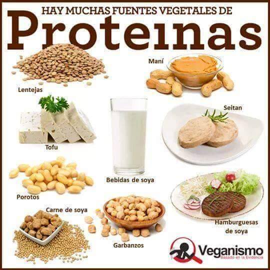 DIETAS SANAS, POCAS CALORÍAS EN 7 DÍAS - DIETAS SANAS PARA DIETAS SANAS, POCAS CALORÍAS EN 7 DÍAS - DIETAS SANAS PARA