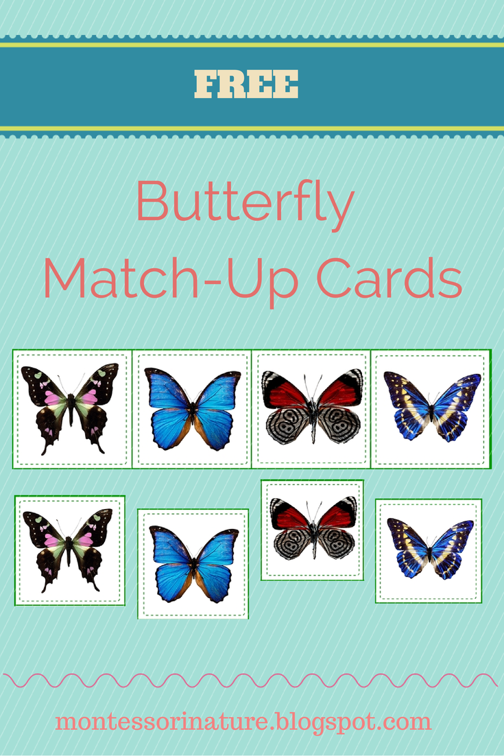 free pre reading printables montessori nature cards printables