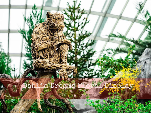  Dahlia Dreams Floral Display @ Flower Dome : Year of the Monkey