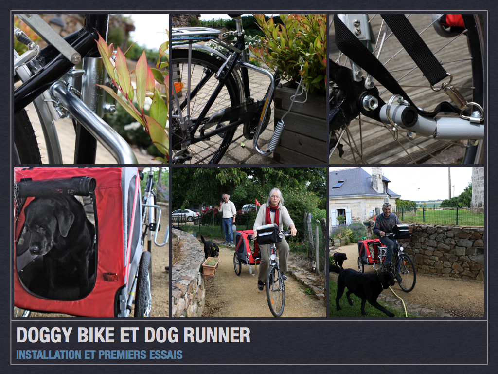 remorque de bicyclette doggy-bike