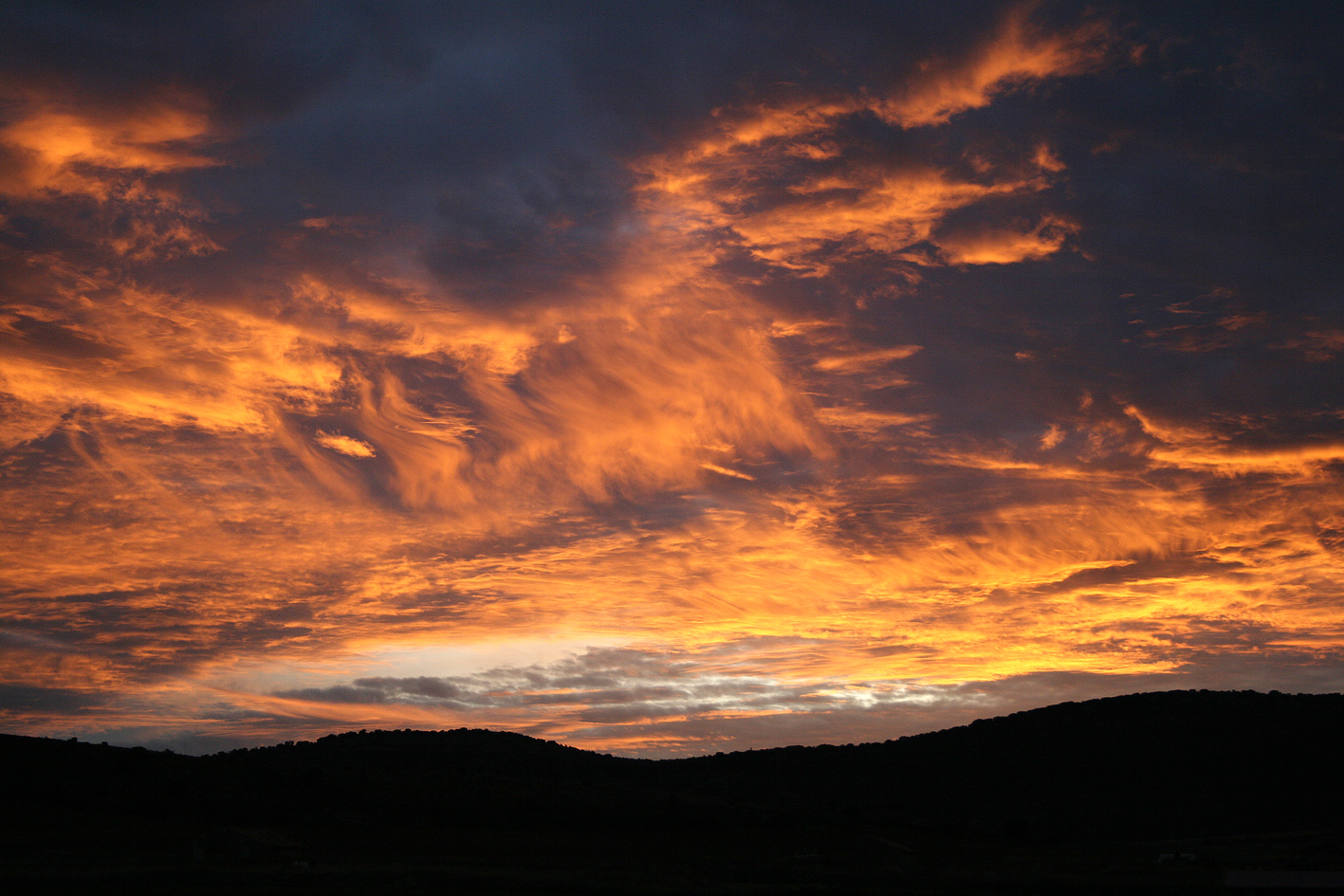 Asociación Cultural La Bellota  La Alameda enero 2012
