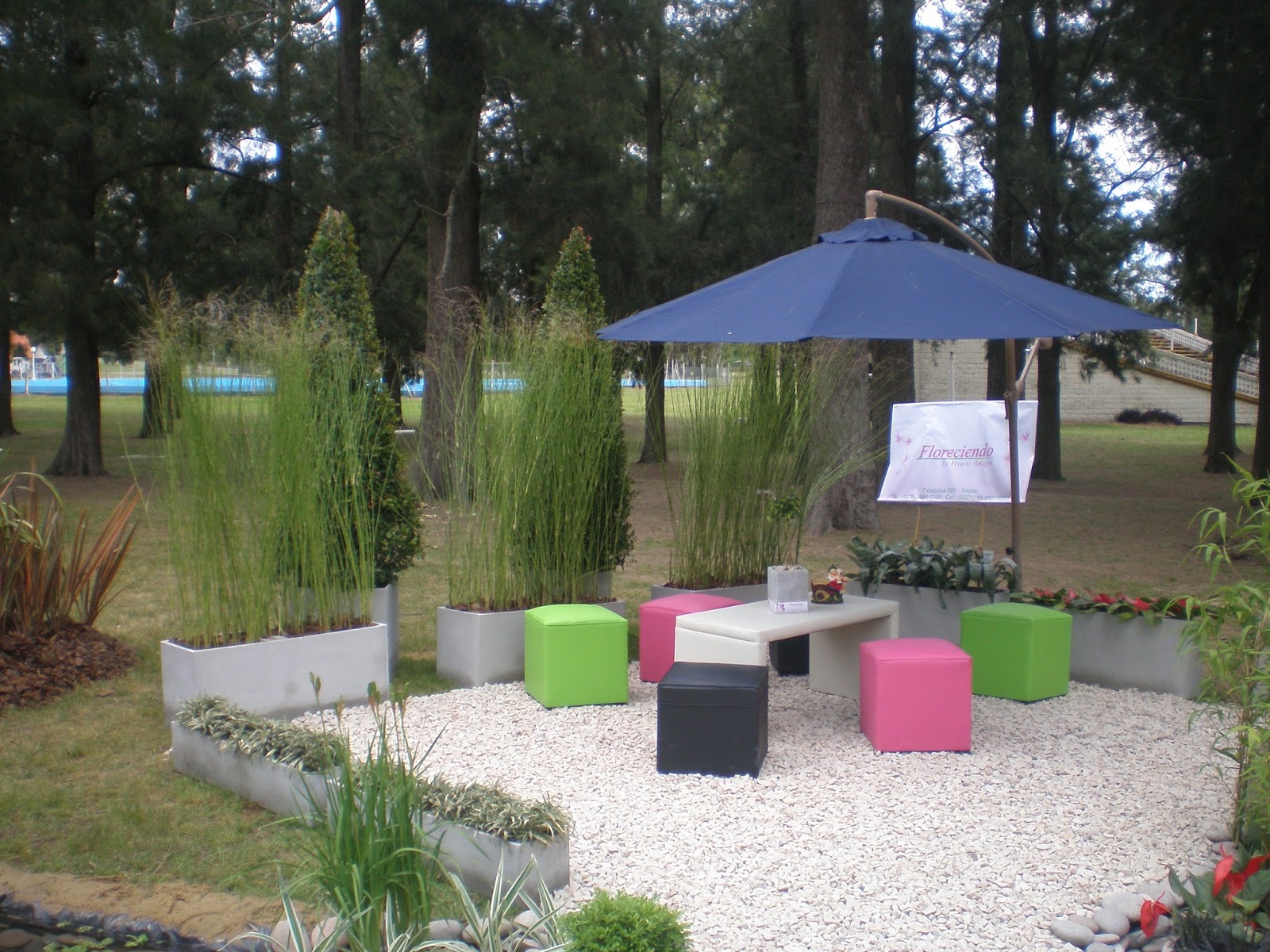 Consejos de jardineria, paisajismo y huerta: JARDINERIA EN MACETAS