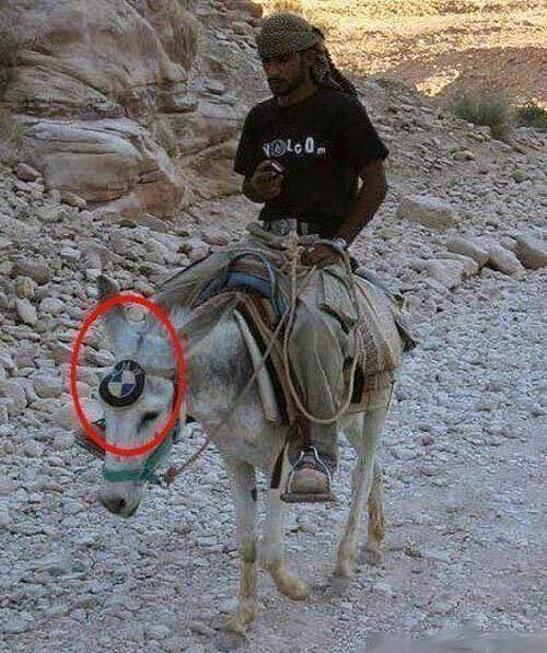 donkey-bmw.jpg