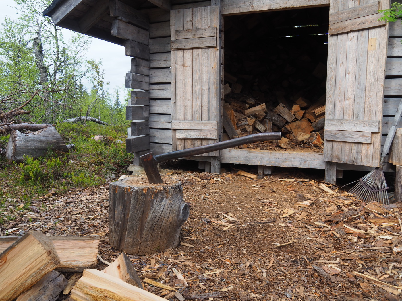 Gisi S Blog Von Tag Zu Tag