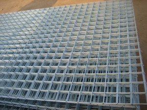 distributor wire mesh
